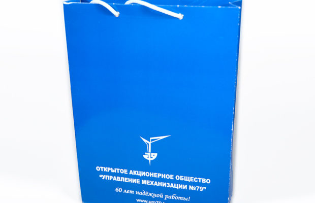 Бумажный пакет с логотипом